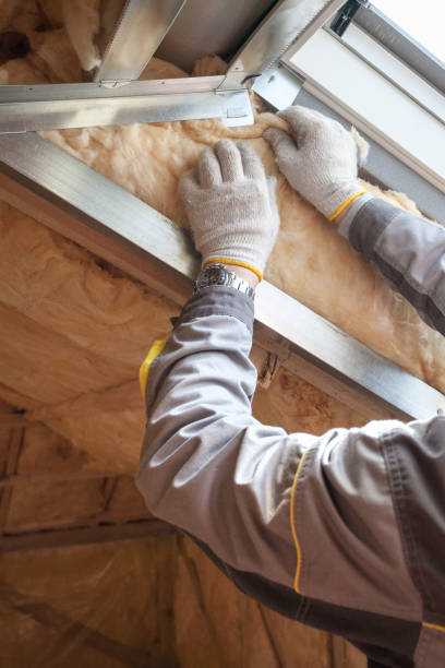 Trusted Sudden Valley, WA Insulation Contractor Experts