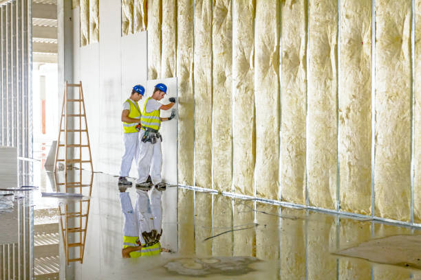 Best Insulation Maintenance and Repair in Sudden Valley, WA
